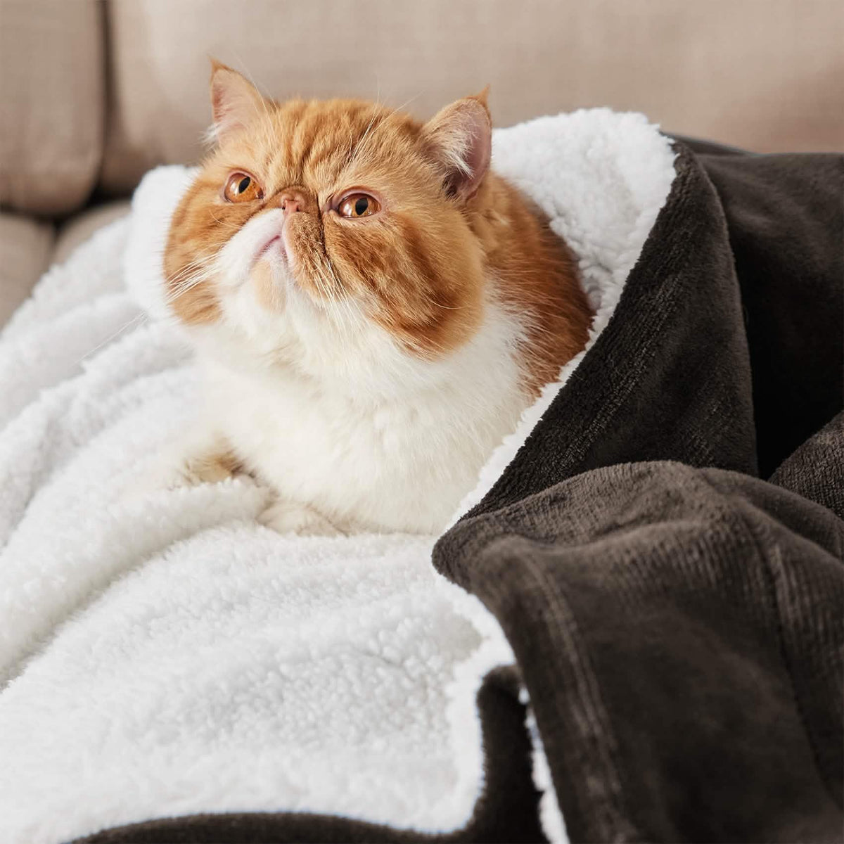 Sherpa Fleece Blanket