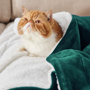 Sherpa Fleece Blanket