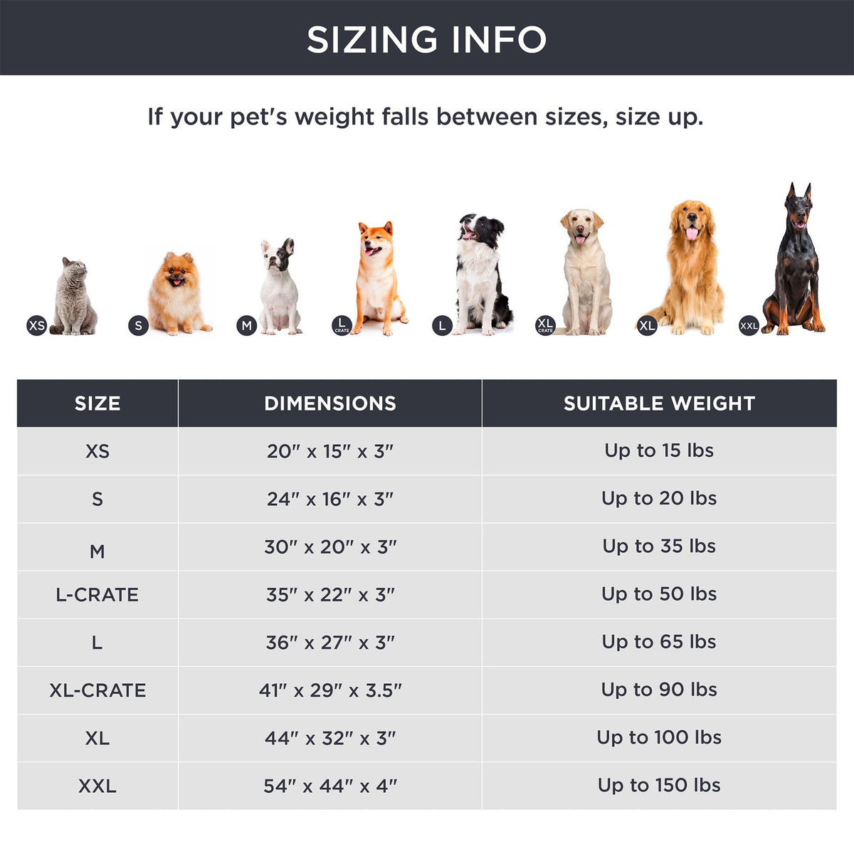 Large Orthopedic Washable Dog Bed