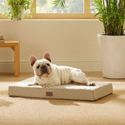 Large Orthopedic Washable Dog Bed