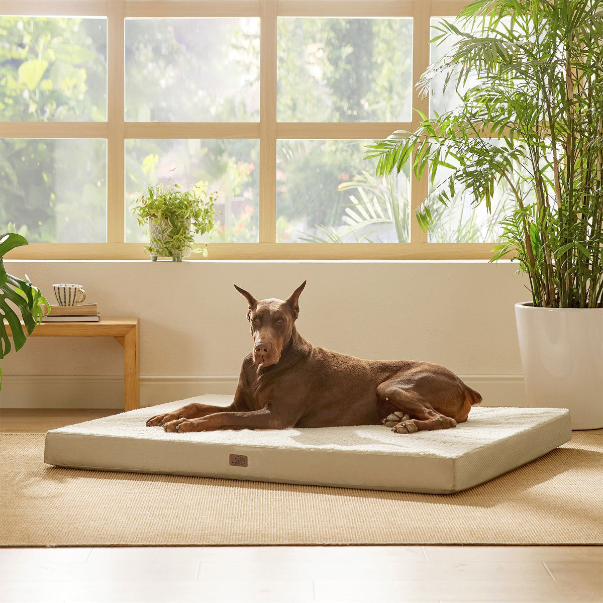 Large Orthopedic Washable Dog Bed
