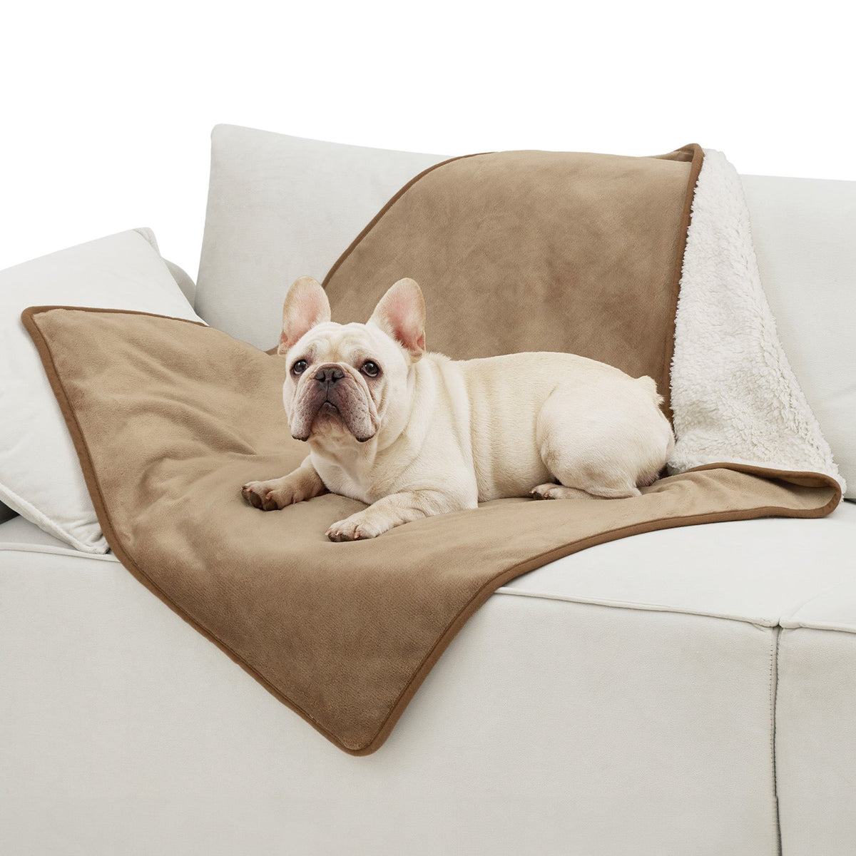 Reversible Sherpa and Microfiber Fleece Dog Blanket