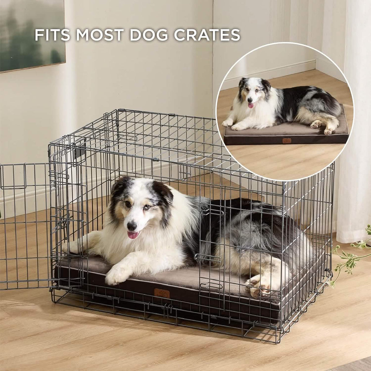 Orthopedic Memory Foam Dog Bed