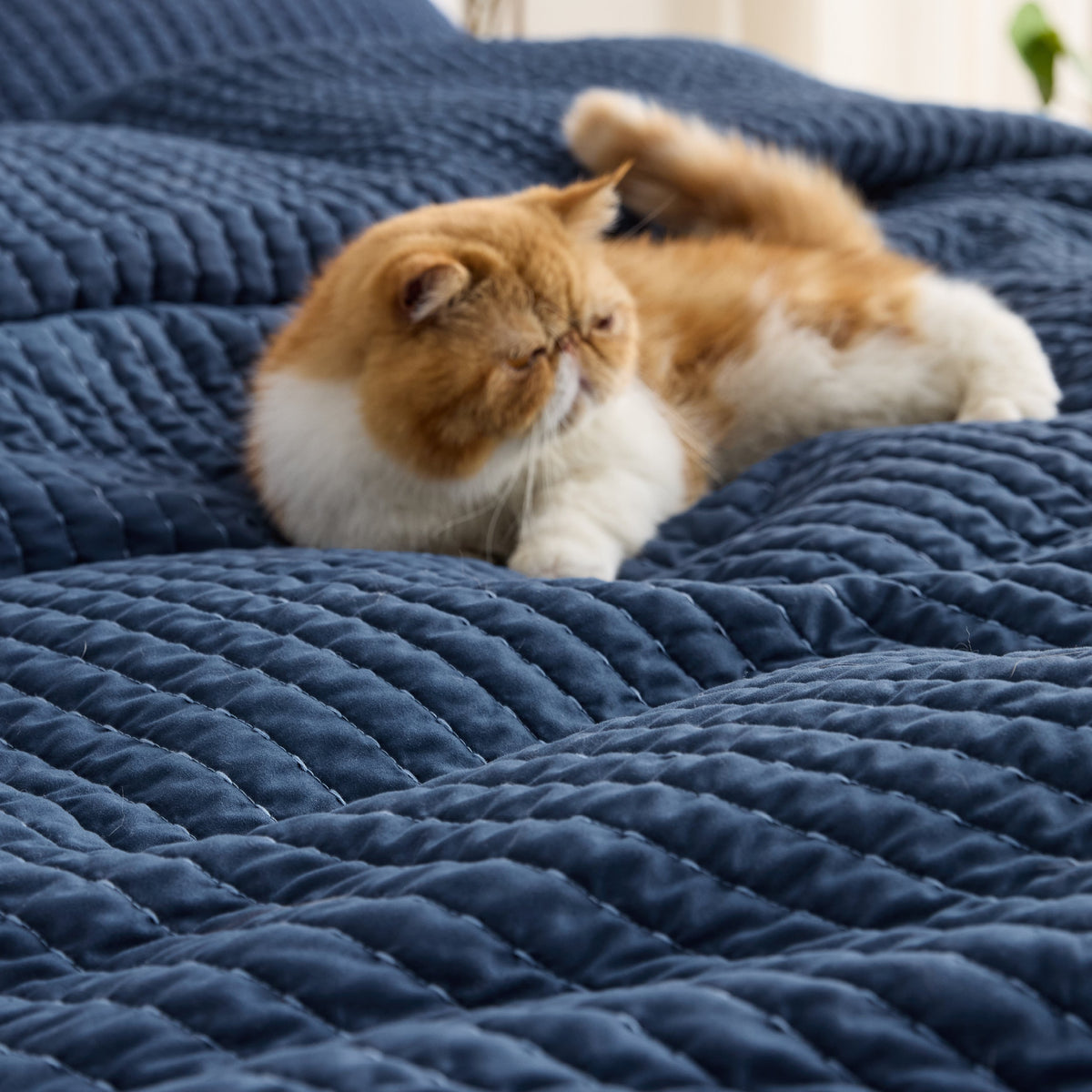 Corduroy Pattern Quilt Set