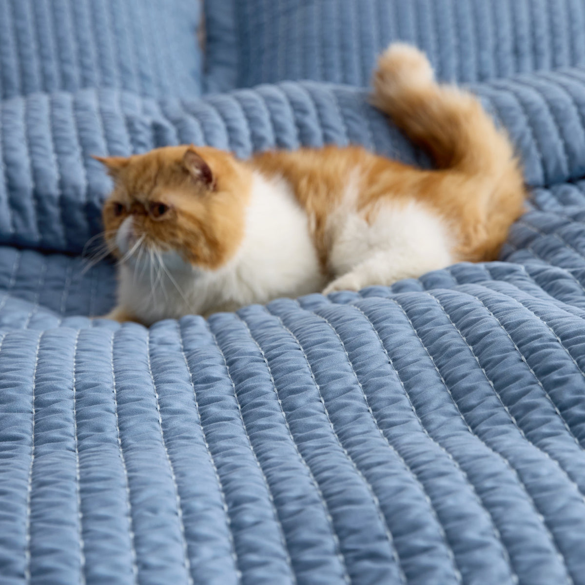 Corduroy Pattern Quilt Set