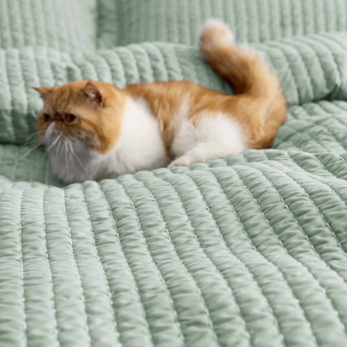 Corduroy Pattern Quilt Set