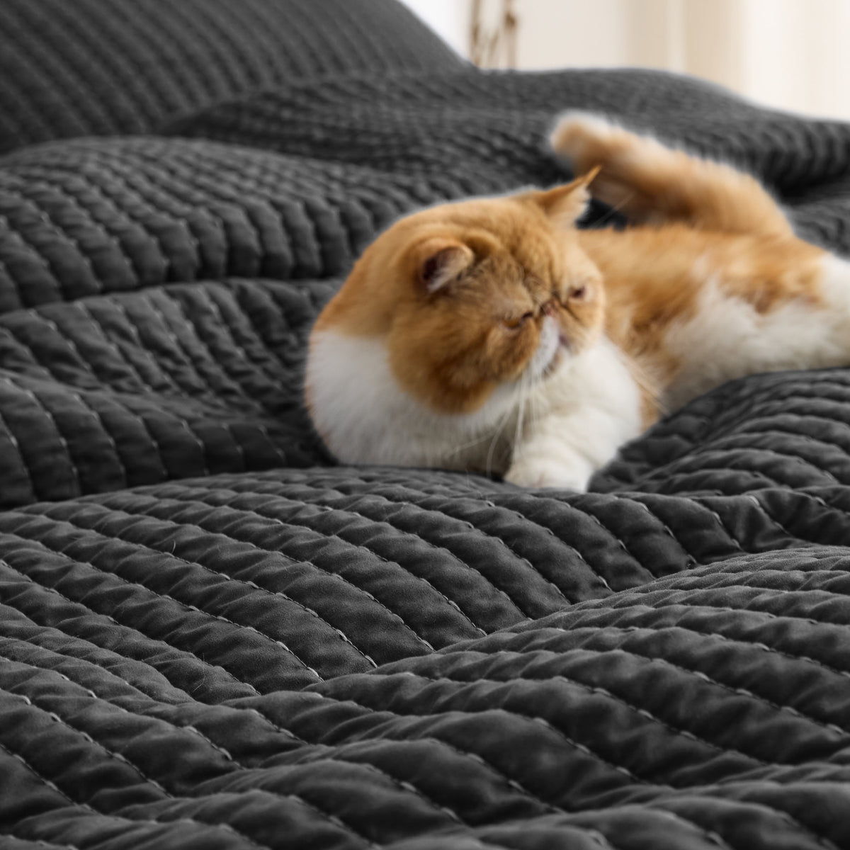 Corduroy Pattern Quilt Set