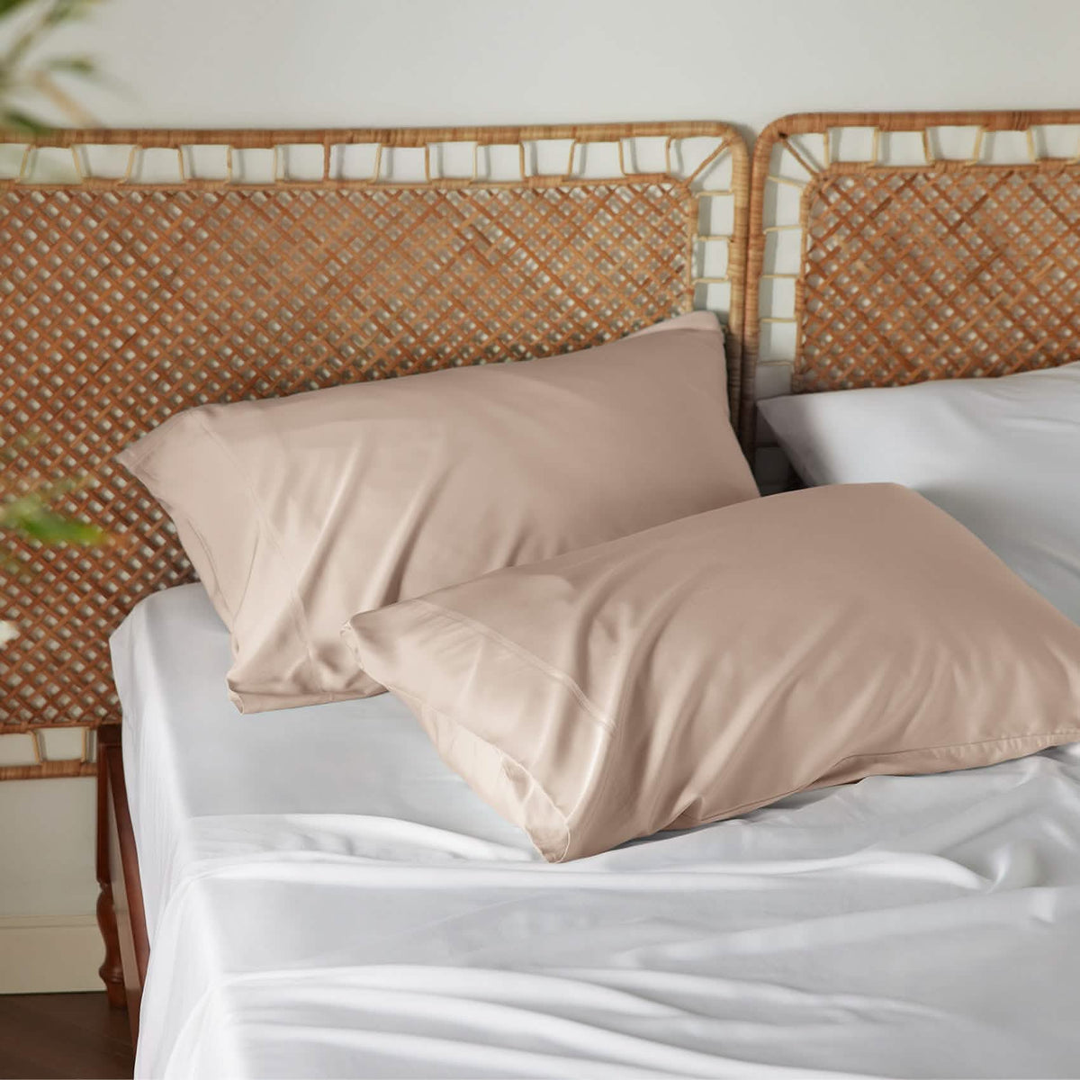 Rayon Derived From Bamboo Pillowcases