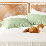 Rayon Derived From Bamboo Pillowcases