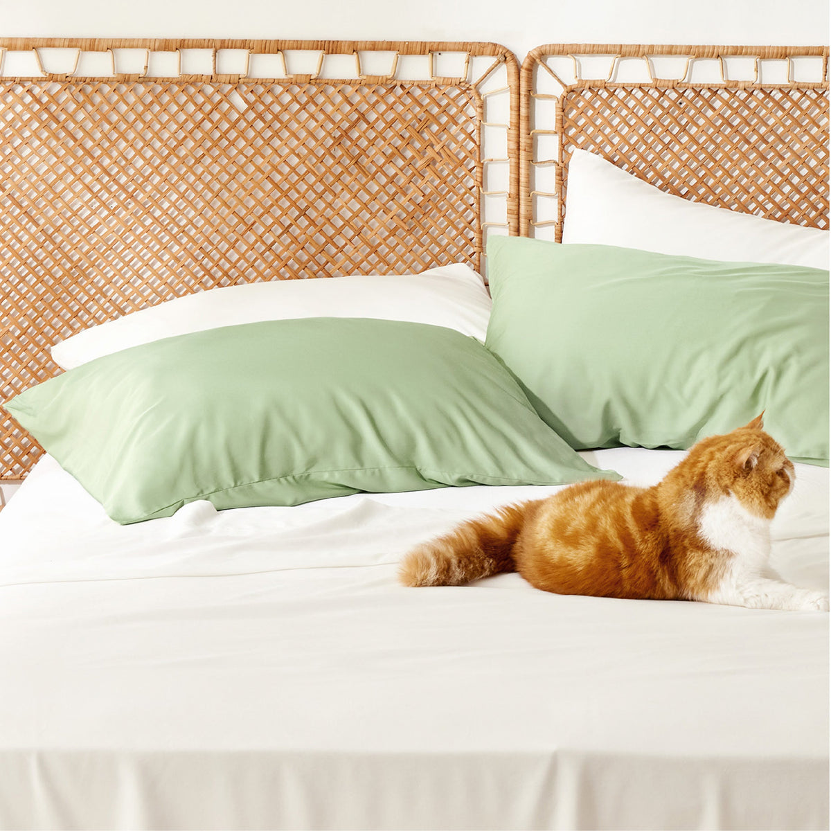 Rayon Derived From Bamboo Pillowcases