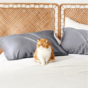 Rayon Derived From Bamboo Pillowcases