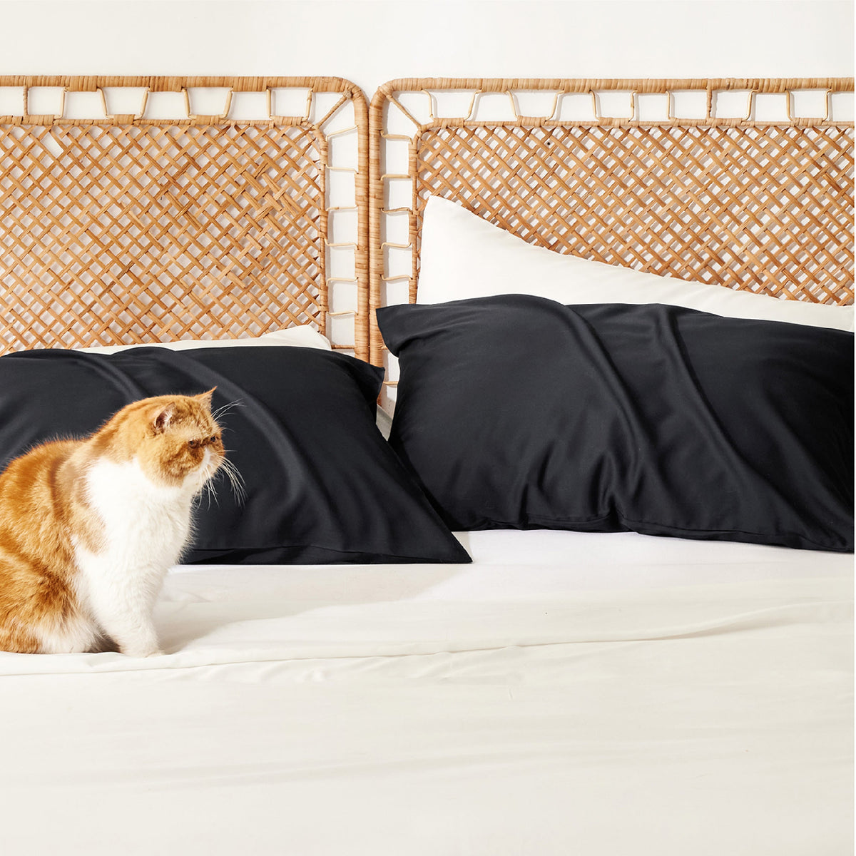 Rayon Derived From Bamboo Pillowcases