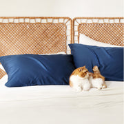 Rayon Derived From Bamboo Pillowcases