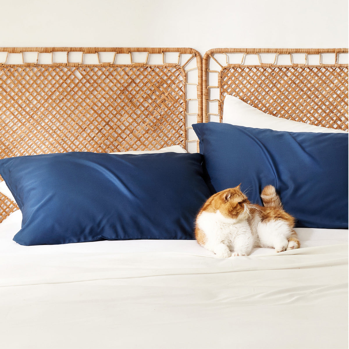Rayon Derived From Bamboo Pillowcases