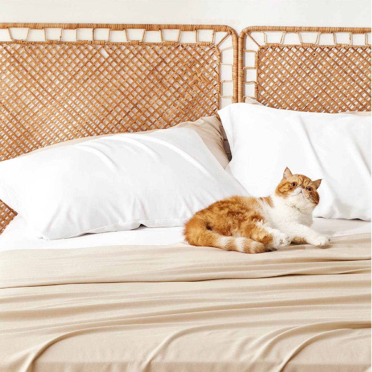 Rayon Derived From Bamboo Pillowcases