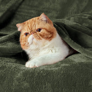 Flannel Fleece Blanket 300gsm