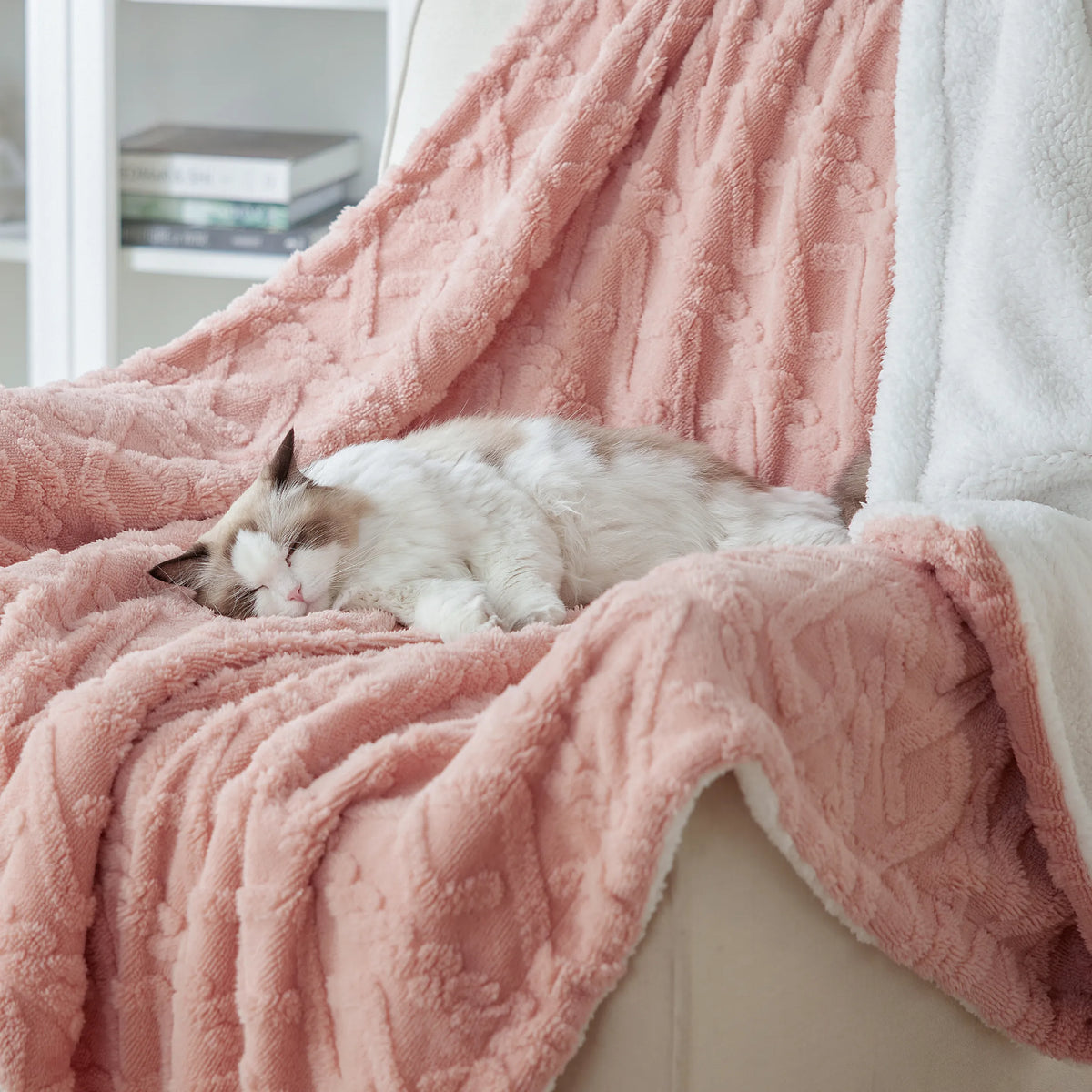Sherpa Throw Blanket For Couch