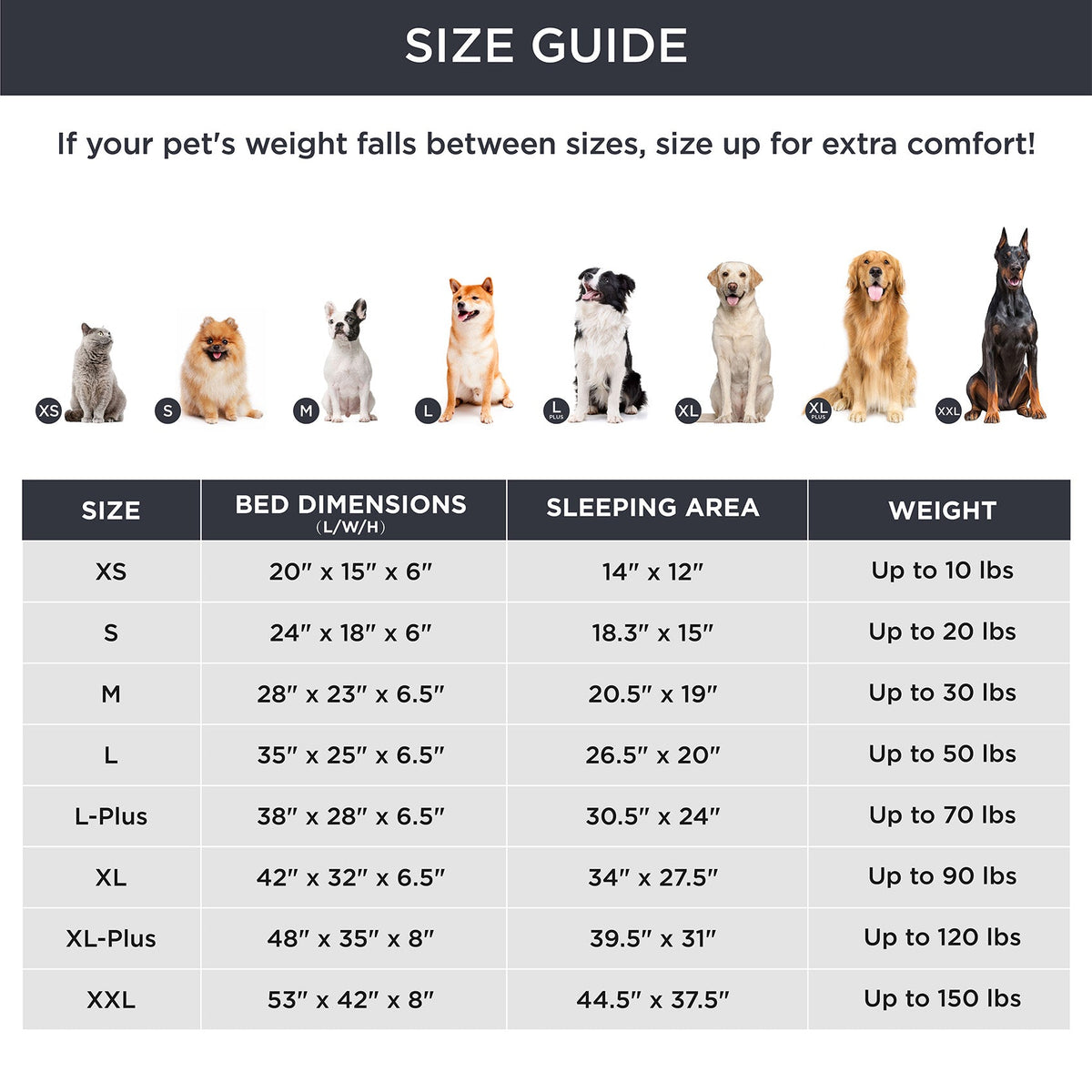 Orthopedic Pet Sofa