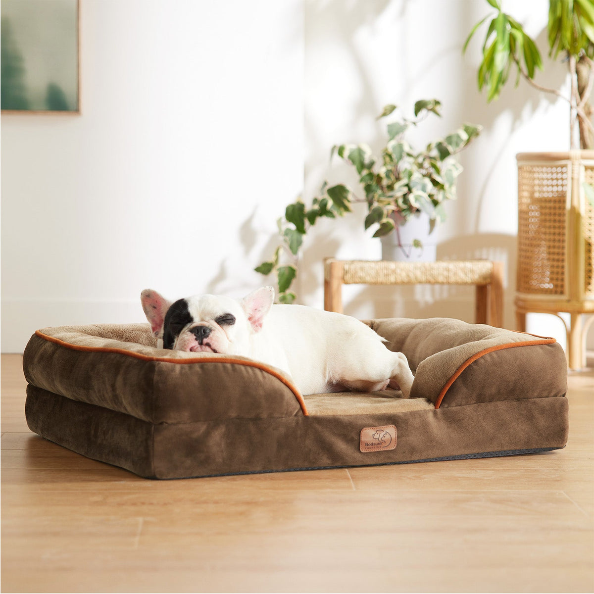 Orthopedic Pet Sofa