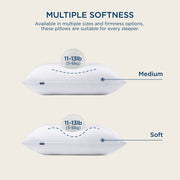 Hotel Pillows