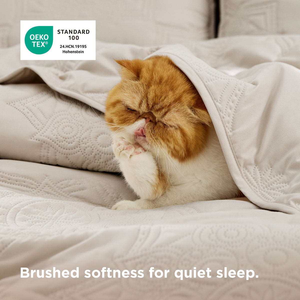 Ultrasonic Quilt set