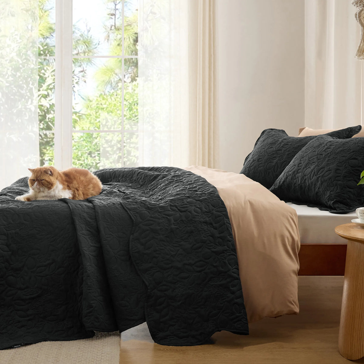 Ultrasonic Quilt set