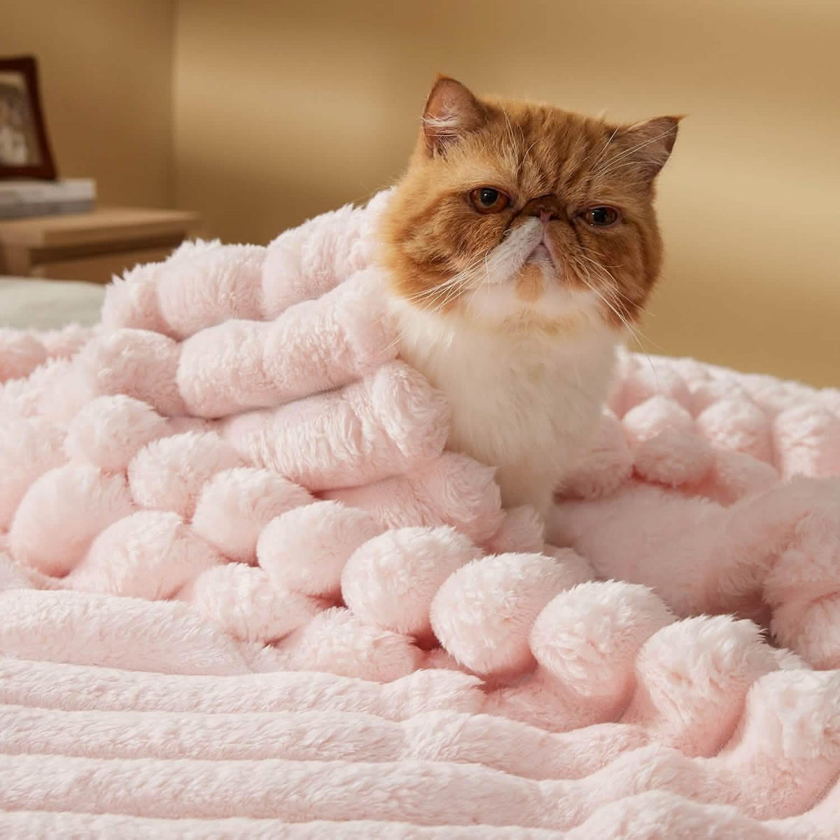 Luxplush Striped Blanket