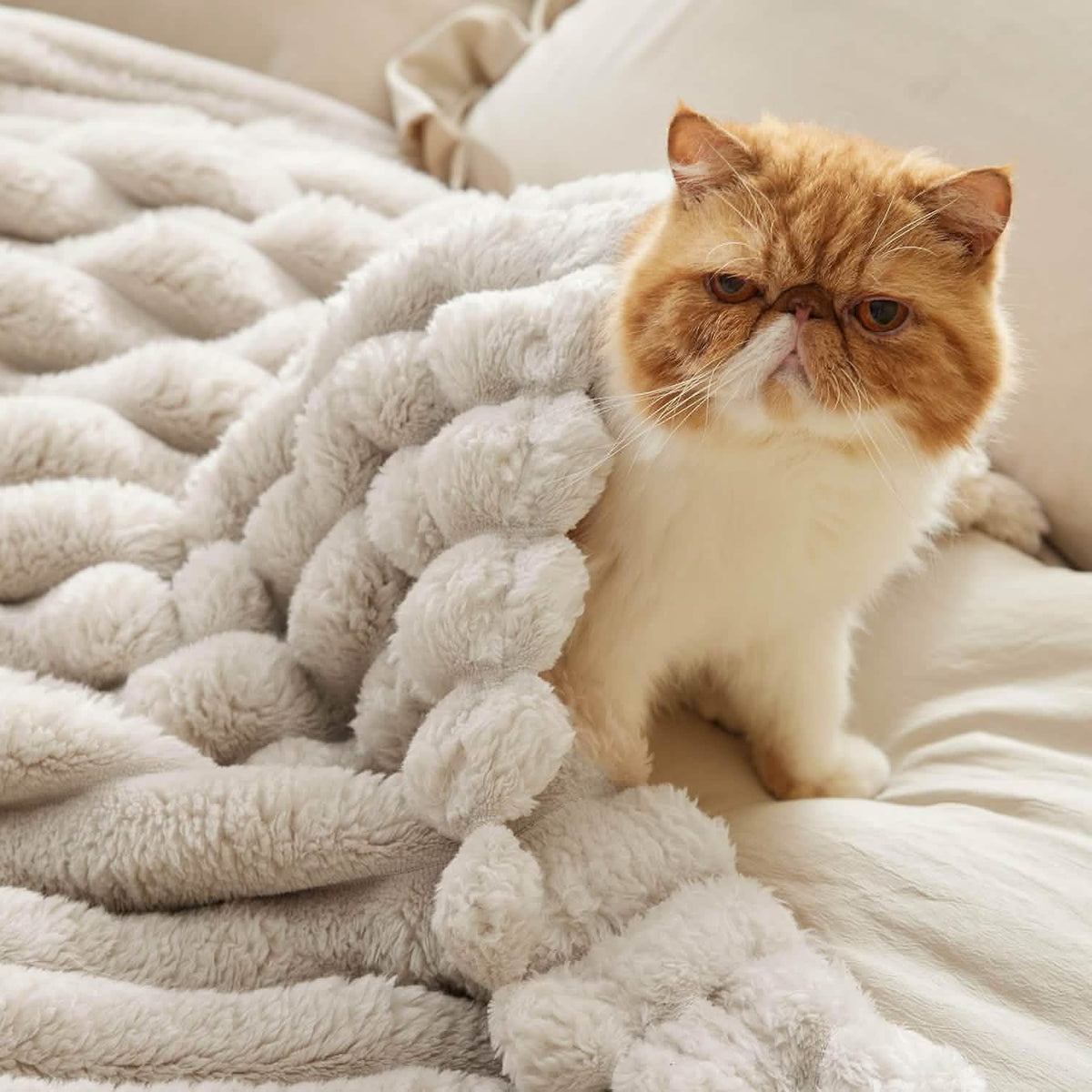 Luxplush Striped Blanket