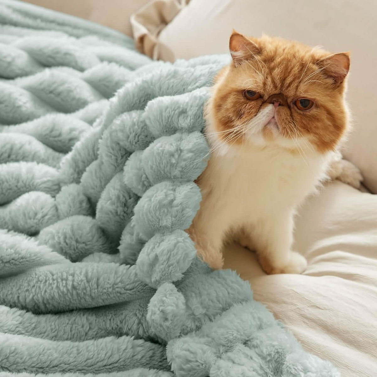Luxplush Striped Blanket