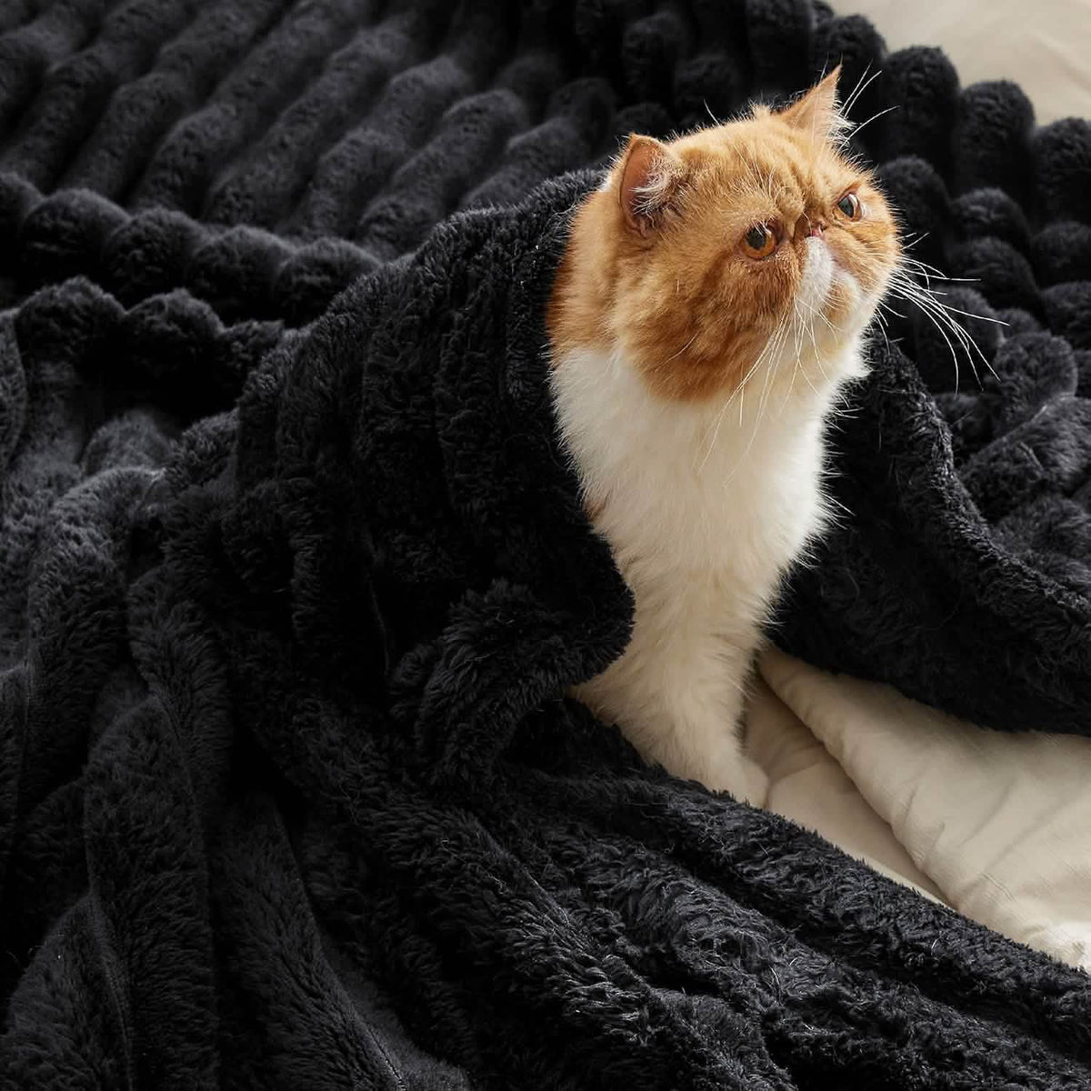 Luxplush Striped Blanket
