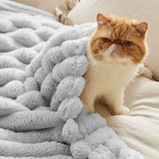 Luxplush Striped Blanket