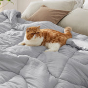 Prewashed Quilted Comforter