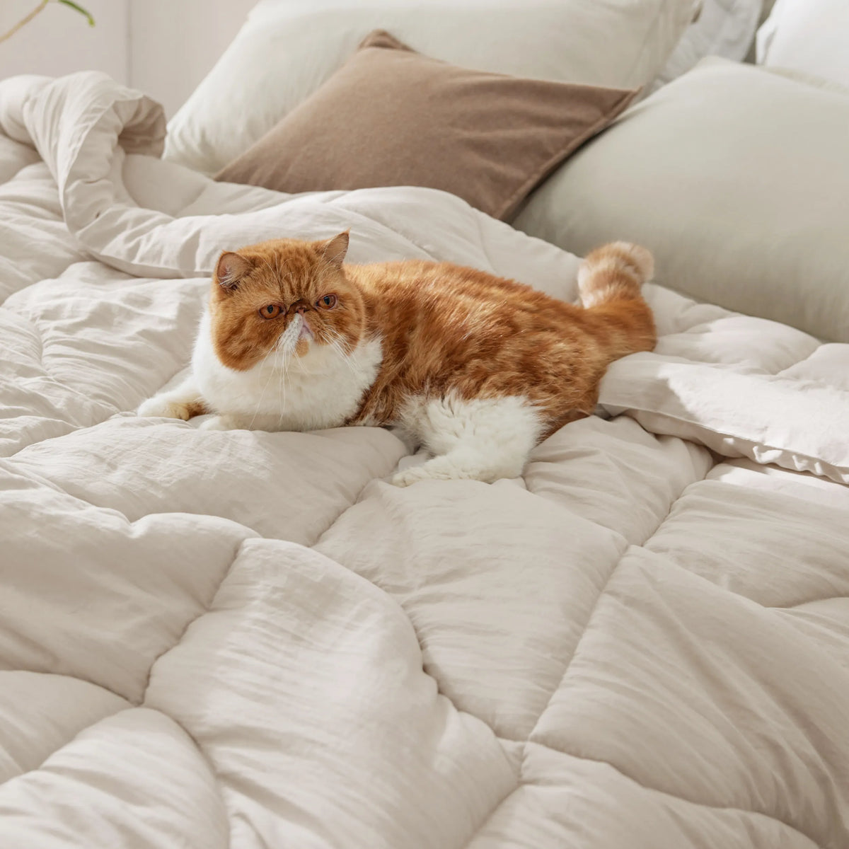 Prewashed Quilted Comforter