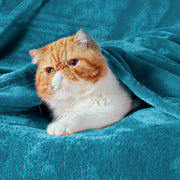 Flannel Fleece Blanket 280gsm