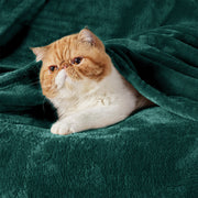 Flannel Fleece Blanket 280gsm