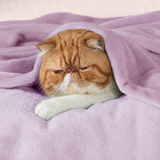 Flannel Fleece Blanket 280gsm