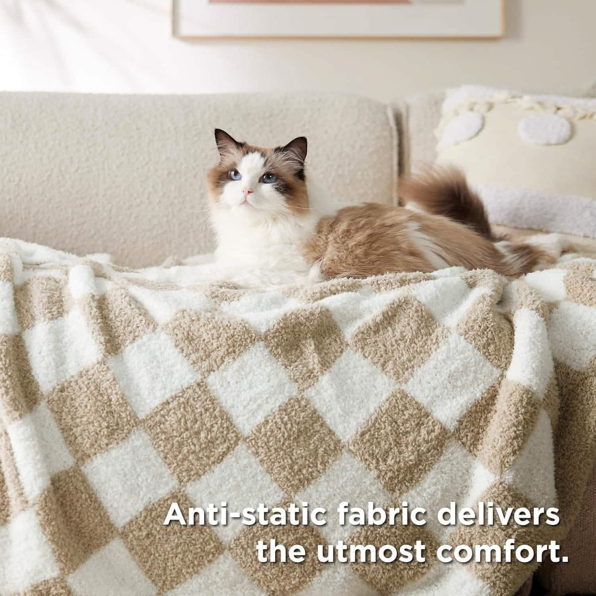 Super Soft Reversible Checkerboard Blanket