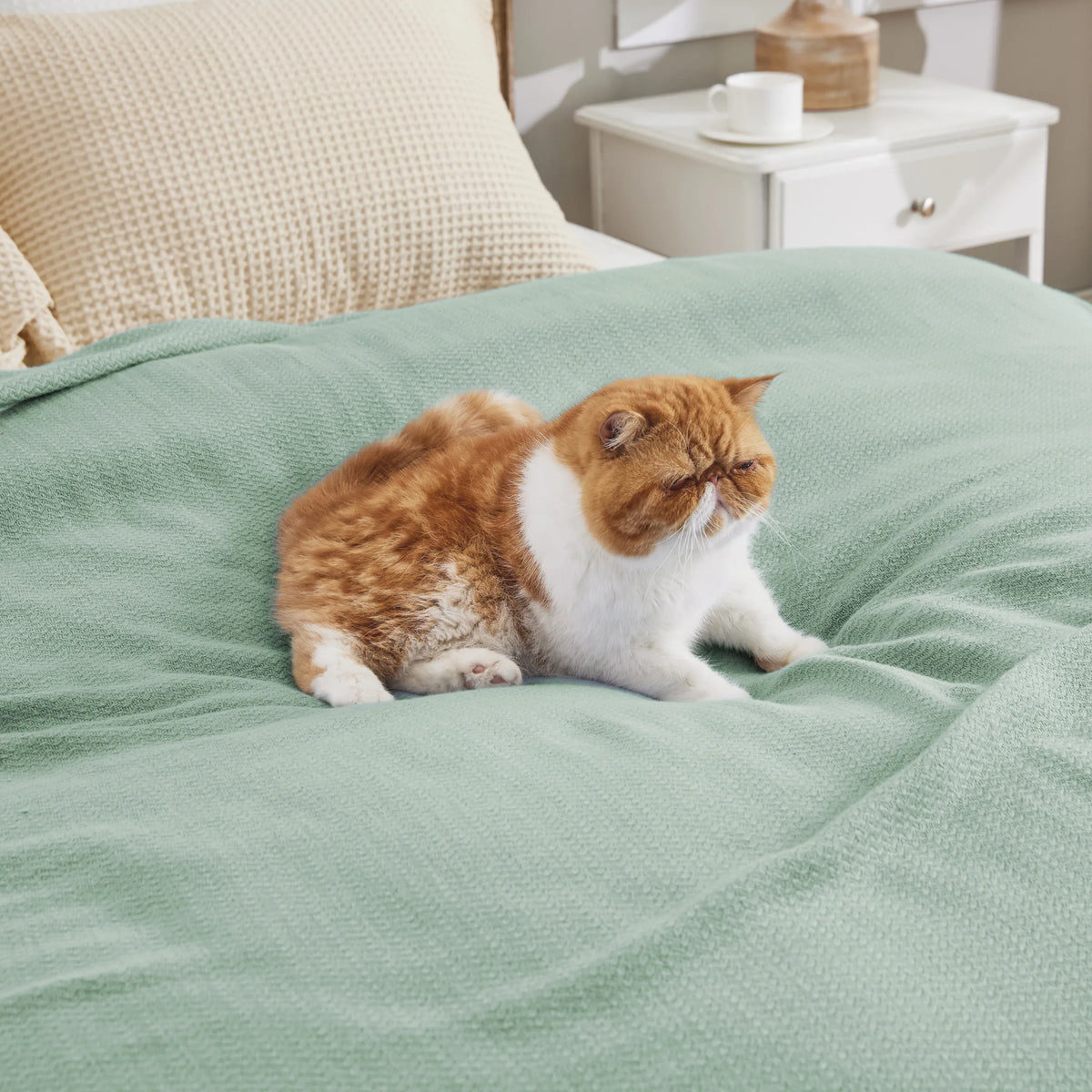 100% Cotton Herringbone Woven Blanket