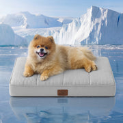 Orthopedic Cooling Dog Bed