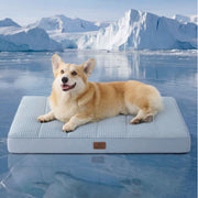 Orthopedic Cooling Dog Bed