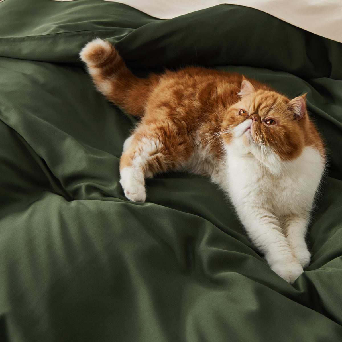 Rayon Derived from Bamboo Duvet Cover Set