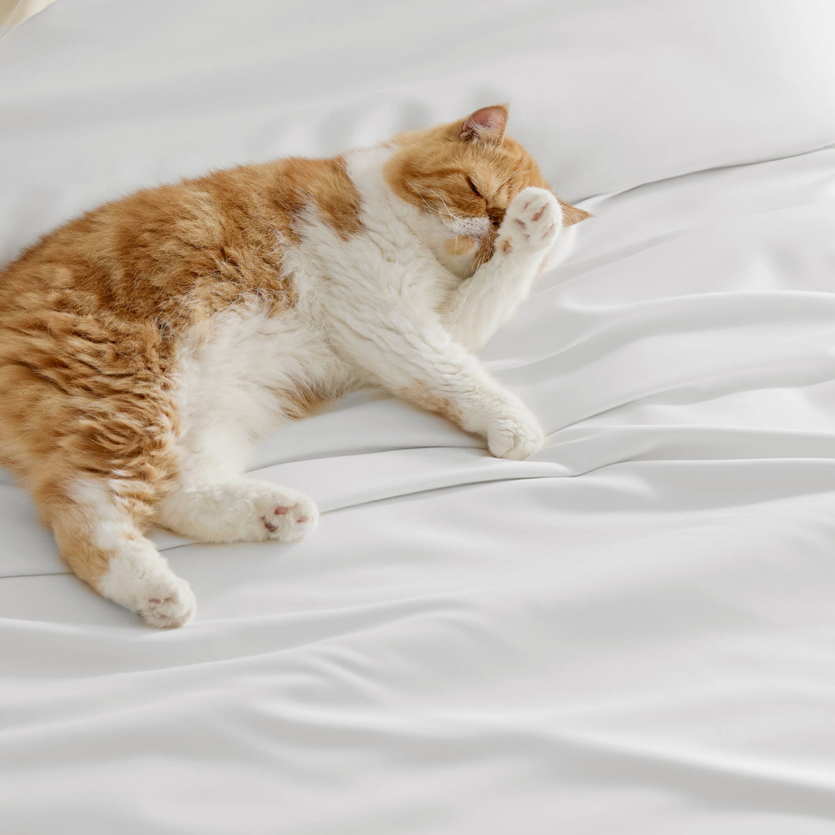 Rayon Derived from Bamboo Duvet Cover Set