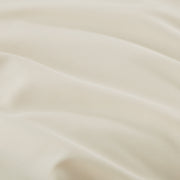 Rayon Derived from Bamboo Duvet Cover Set
