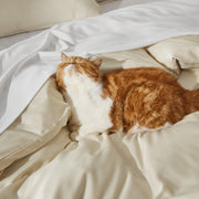 Rayon Derived from Bamboo Duvet Cover Set
