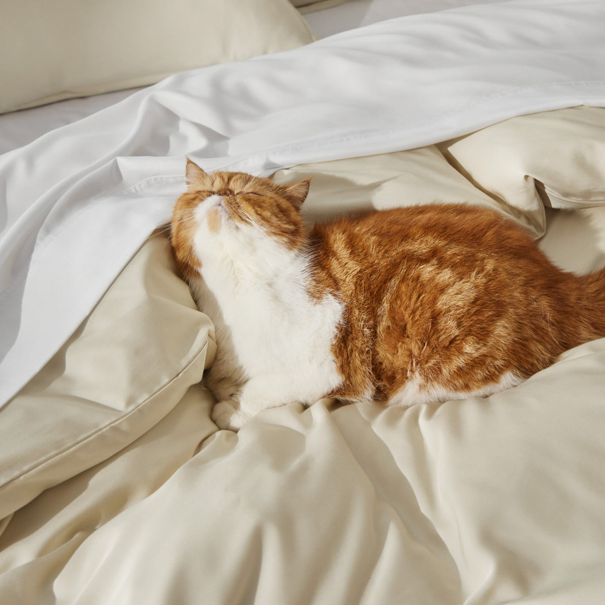Rayon Derived from Bamboo Duvet Cover Set