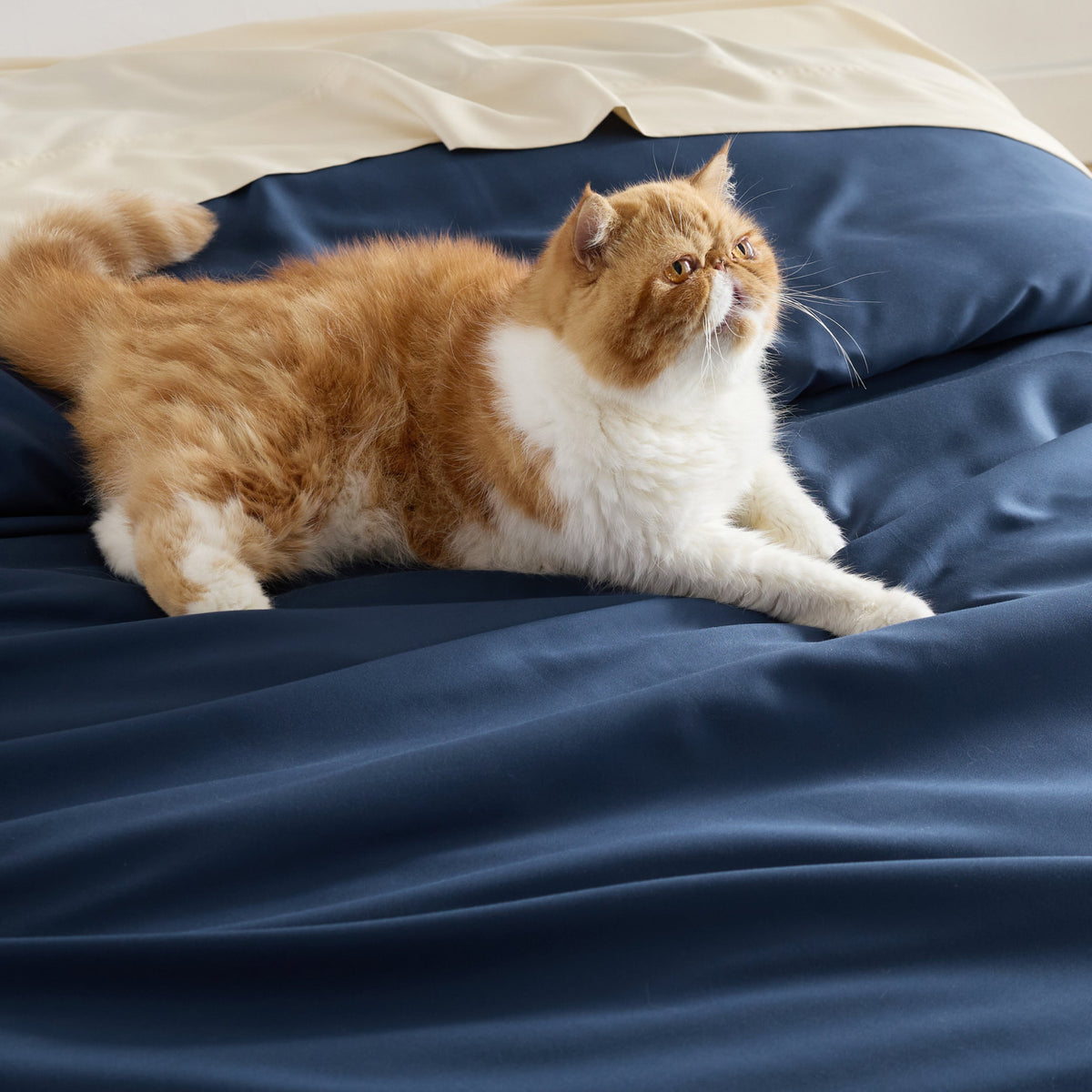 Rayon Derived from Bamboo Duvet Cover Set