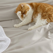 Rayon Derived from Bamboo Duvet Cover Set