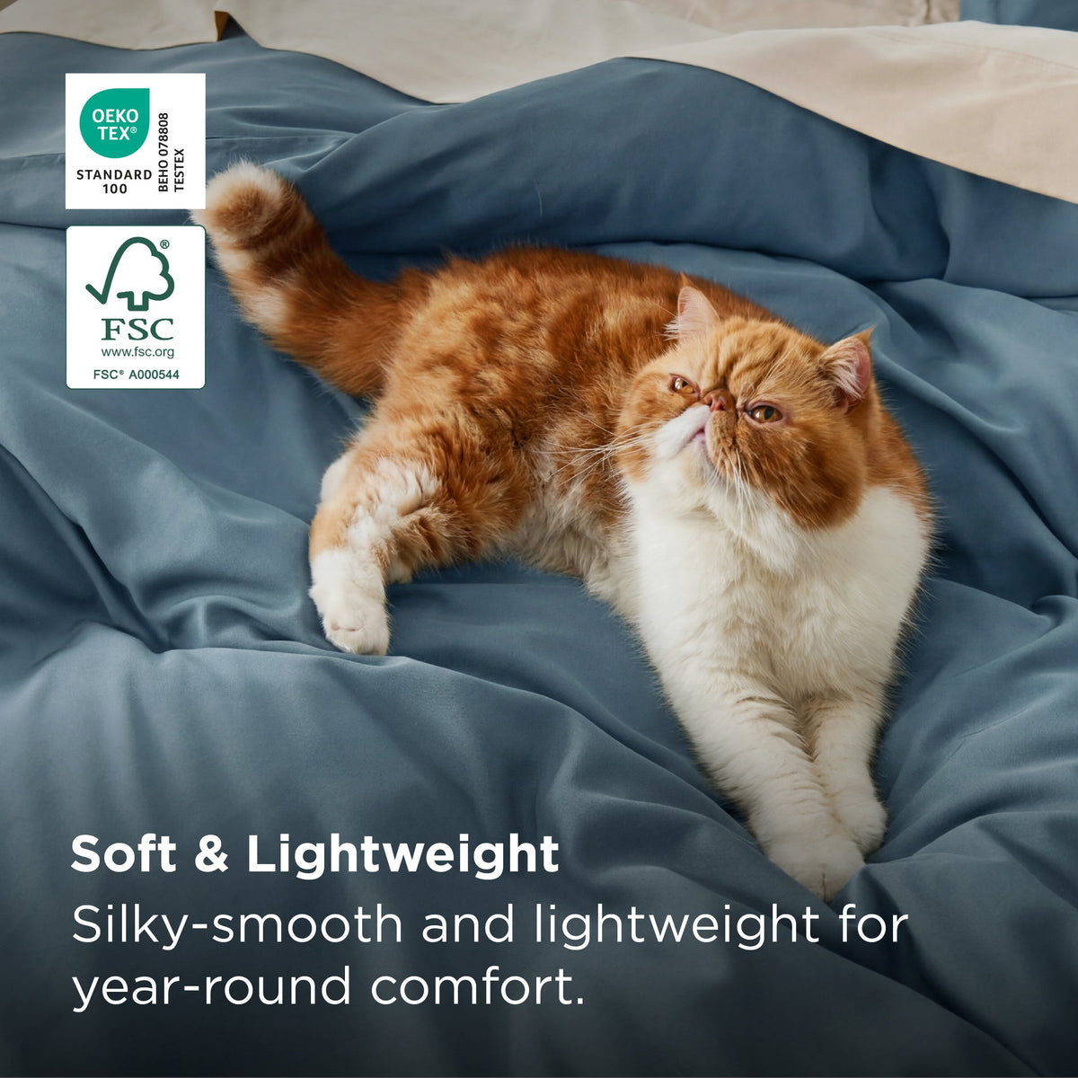 Rayon Derived from Bamboo Duvet Cover Set