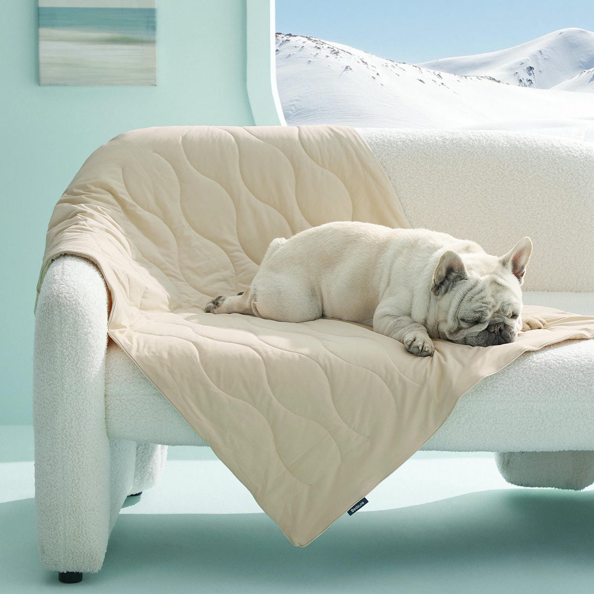 Textured Pet Cooling Blanket