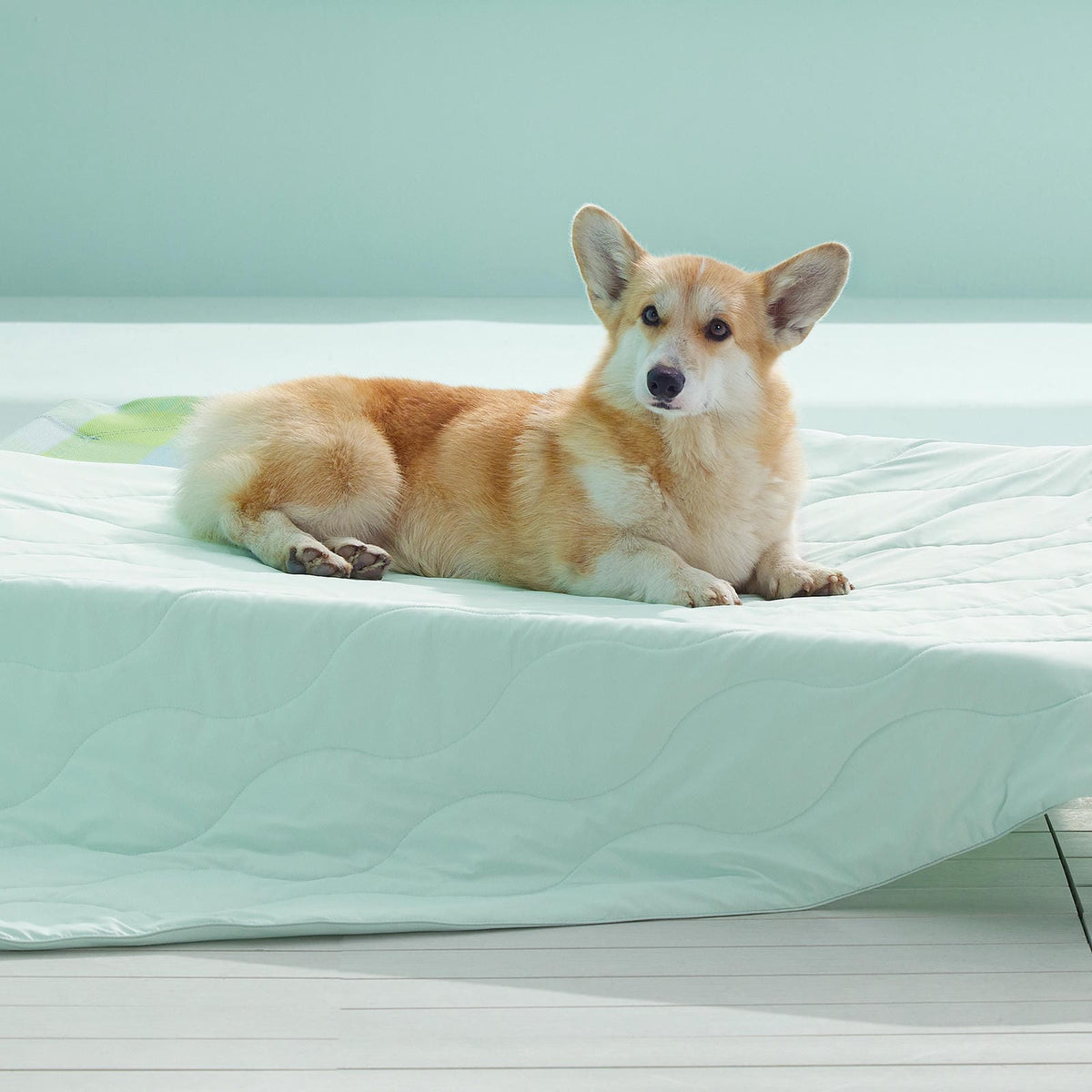Textured Pet Cooling Blanket